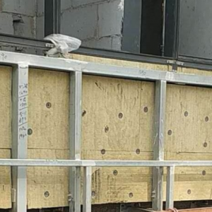 ϱذ≦ʩSҸVʹԭtע(xing)